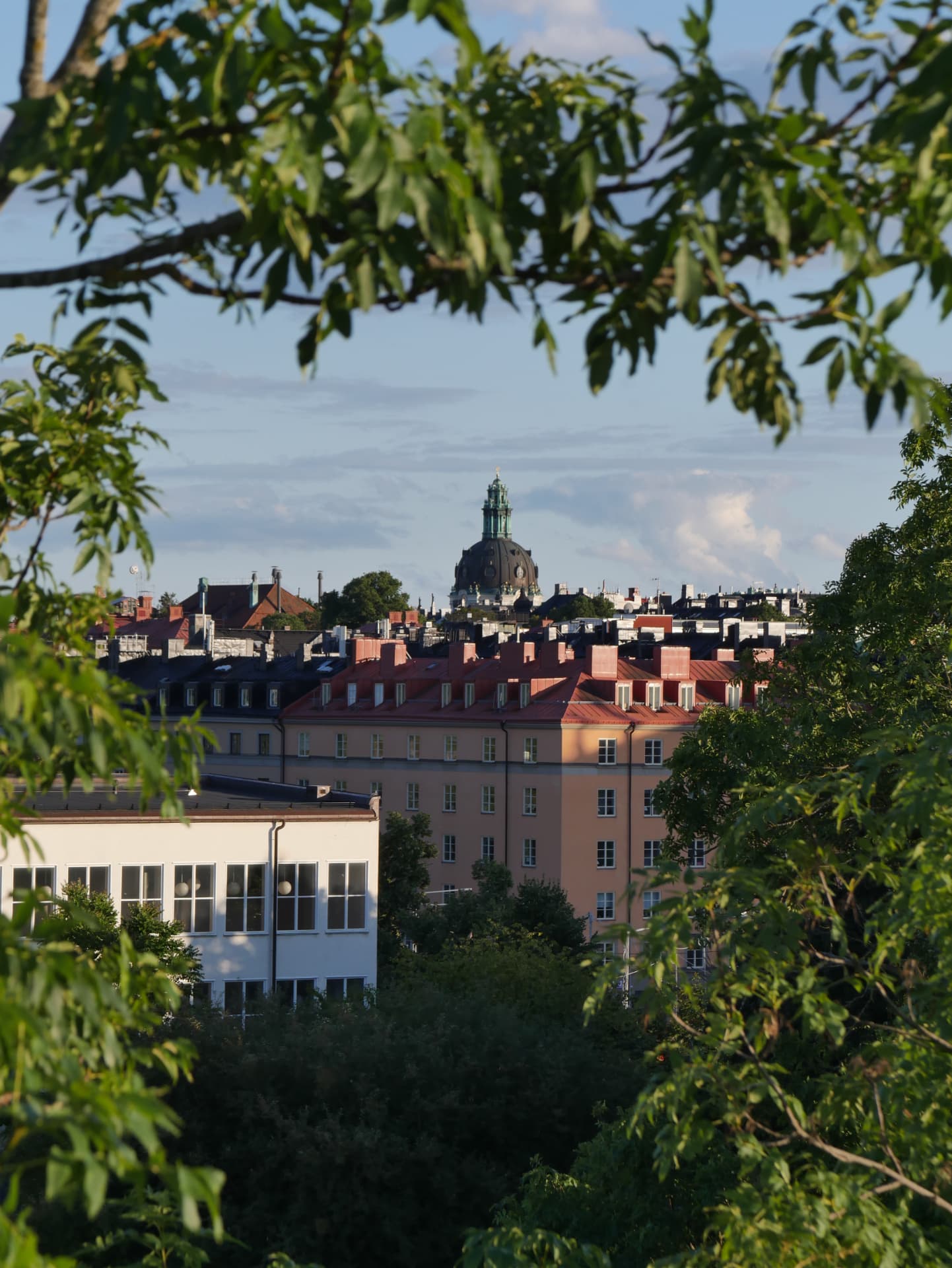 Stockholm rooftops framed by leaves, photographed by Oskar Olszewski